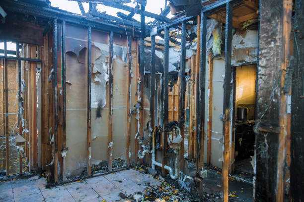 Professional Soot Cleanup technician working in Stevenson, WA